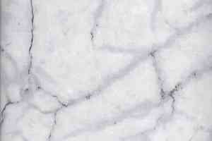 Кварцвиниловые полы Forbo Effekta Standard 3082T Carrara Marble ST фото  | FLOORDEALER